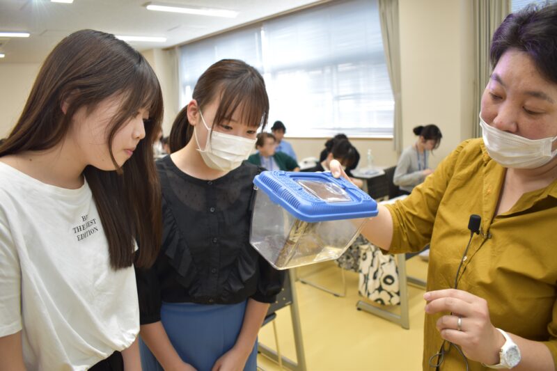 授業風景（生物学）42回生 🐸